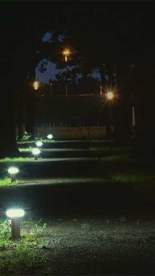 Walking path at High Tech Campus lighted up with Philips outdoor lighting to increase safety in the night